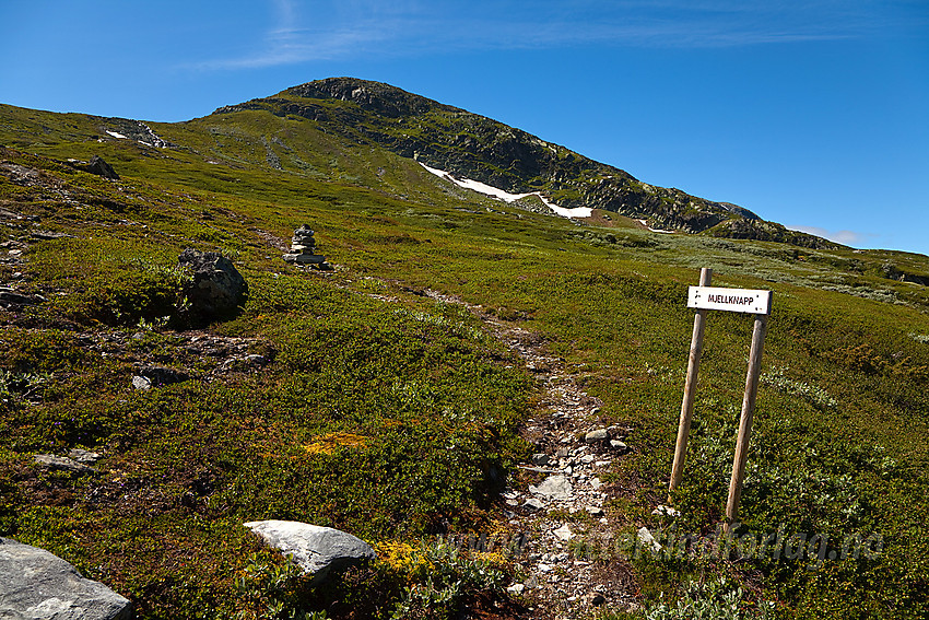 Stistart mot Mjellknapp i Rysndalen.