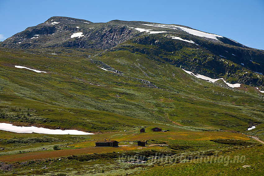 I Rysndalen med Nefstadstølen i forgrunnen og Mjellknapp (1678 moh) i bakgrunnen.