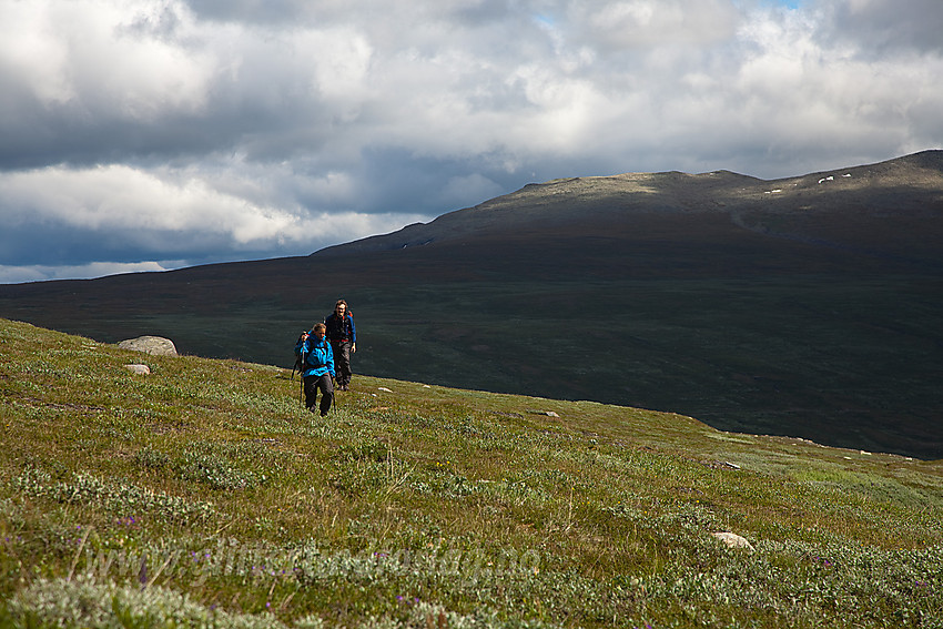 På vei inn i Hestebotten. Smådalen og Jørungilknappen i bakgrunnen.