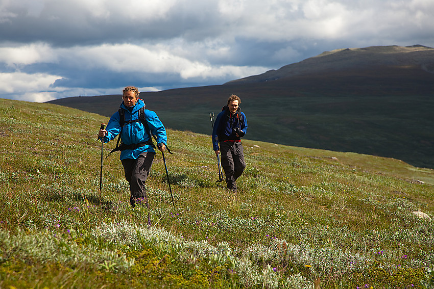 På vei inn i Hestebotten. Smådalen og Jørungilknappen i bakgrunnen.