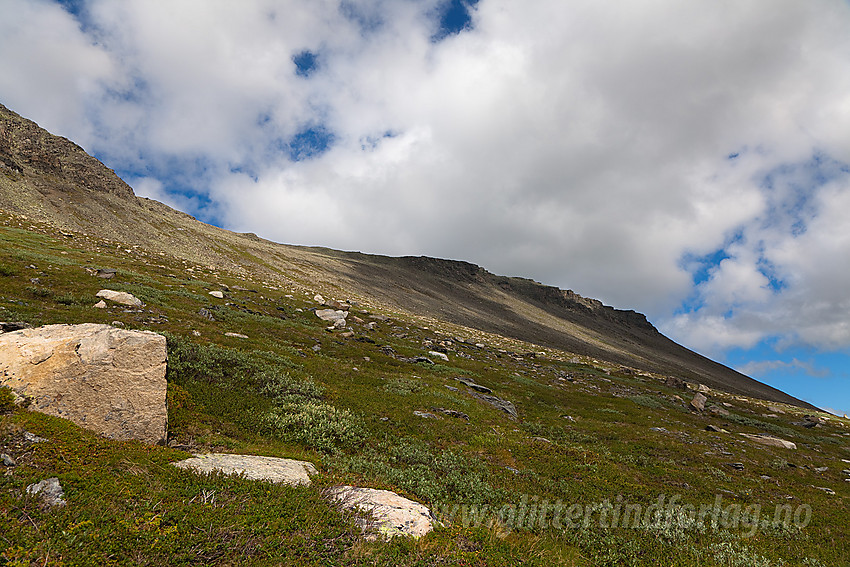 Fjellsiden fra Hestebotten opp mot sadelen mellom Rankonøse (utenfor bildet til venstre) og Klanten (til høyre i bildet).