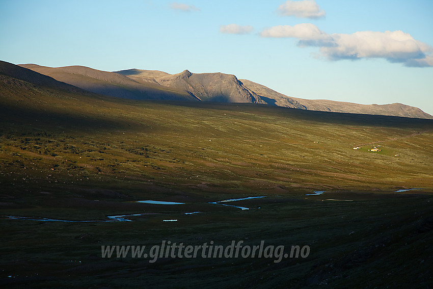 Sommerkveld i Smådalen med Gilafjellet i bakgrunnen.