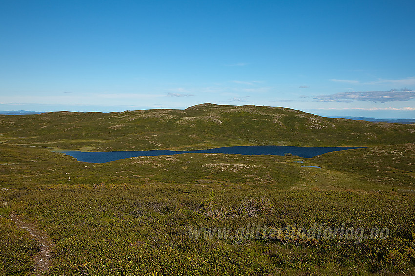 På Bjødalsfjellet mot østtoppen på 1151 moh.