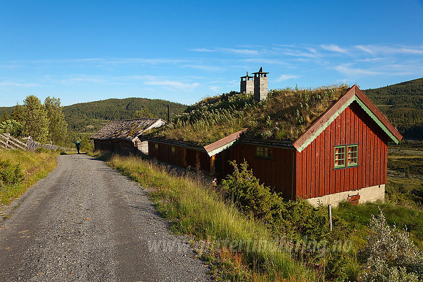 Støl i Bjødalen.