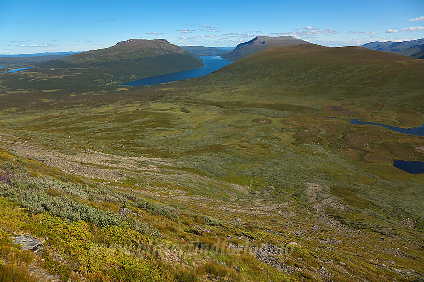 Fra sørflanken oppunder Grindane mot Gilafjellet, Helin og Storlifjell.