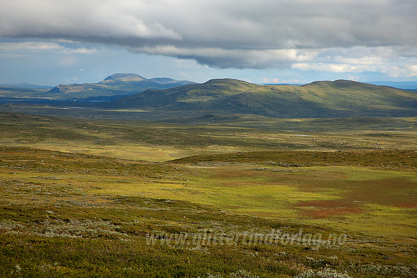 Utsikt fra Skreddalen mot Melladn og Kjølafjellet.