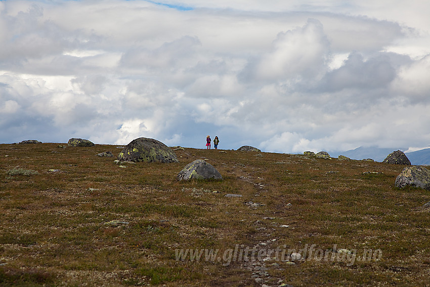 Små fjellvandrere på Stryteberget (1310 moh) i Øystre Slidre.