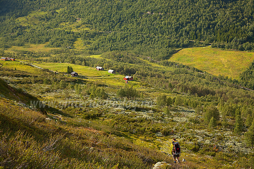 På vei ned i Rødalen mot Steindestølen på retur fra Vardhovdtinden.