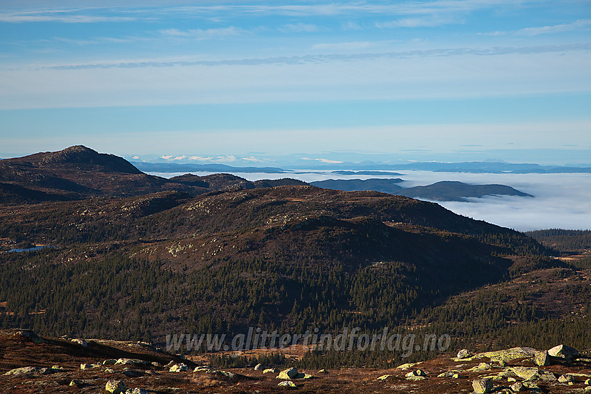 Fra Svarttjernkollen mot Treknatten (1101 moh). I det fjerne skimtes de hvite Jotuntoppene.