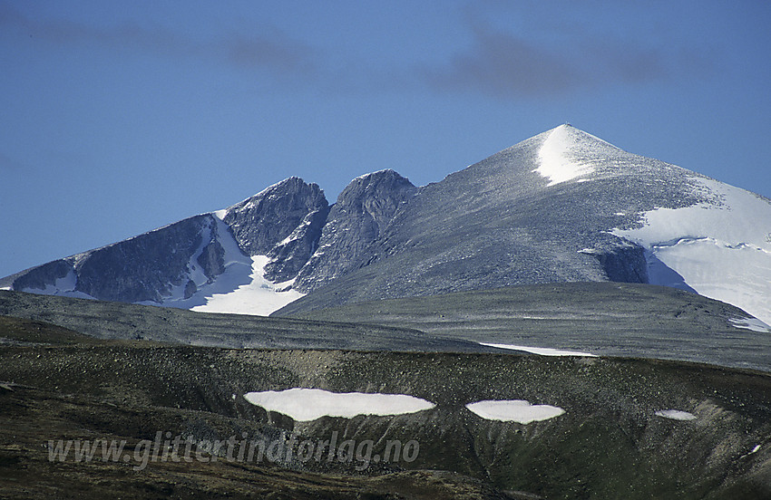 På Dovrefjell mot Snøhettamassivet en flott høstdag.