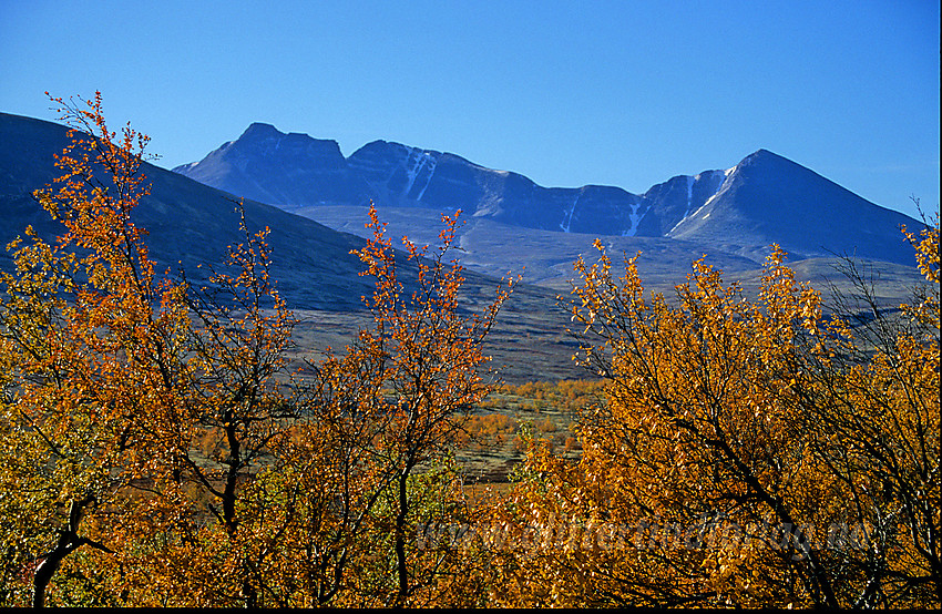 I Døråldalen mot Høgronden, Midtrondane og Digerronden.