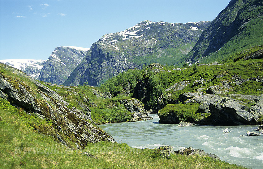 Ved Austerdalselvi ikke langt fra Tungestølen.