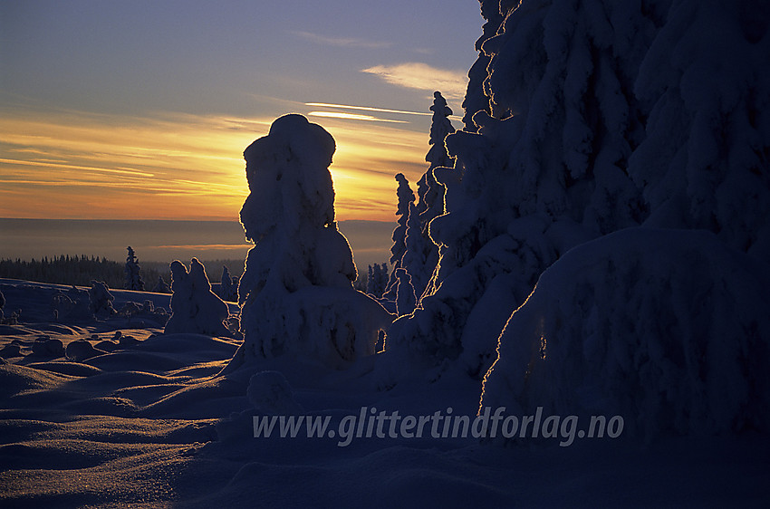 Vintereventyr i desember. På vei til Skardåsen i Nord-Aurdal.