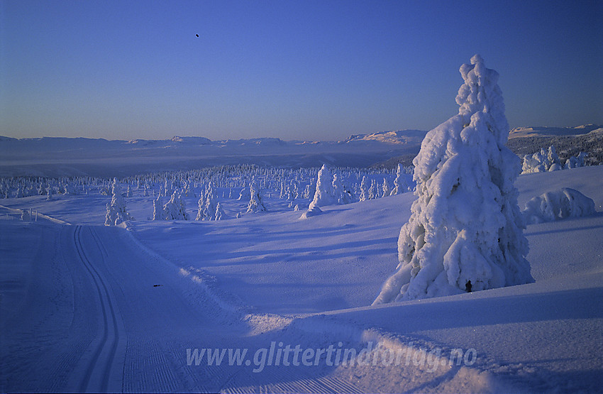 Vintereventyr i desember. På vei til Skardåsen i Nord-Aurdal.