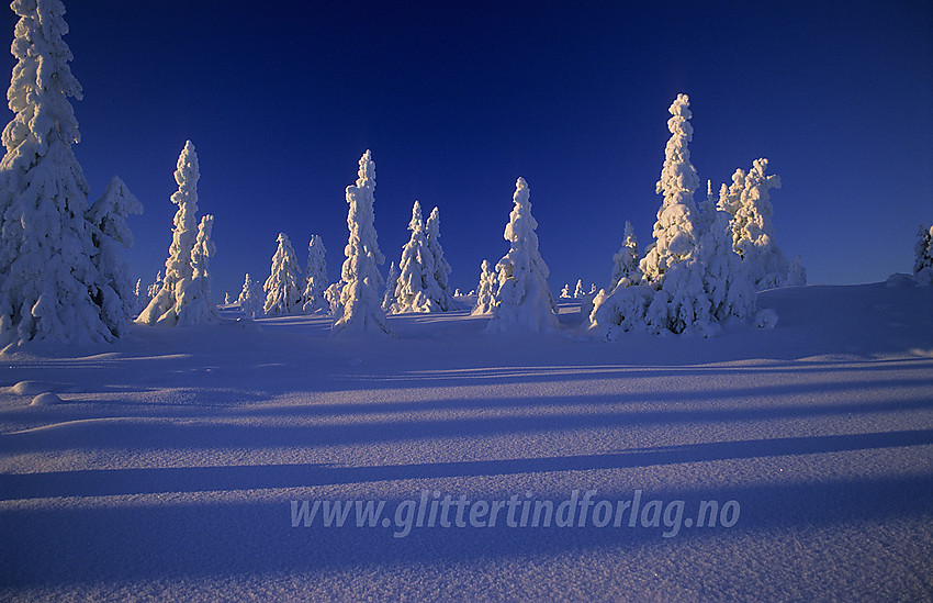 Vintereventyr i desember. På vei til Skardåsen i Nord-Aurdal.