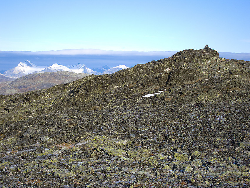 Toppen på Skutshorn (1630 moh) med Jotunheimen (Uranostinden) bak til venstre.