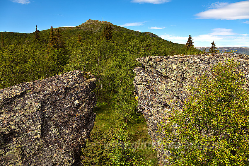 Ved Alasteinadn i Vang med Hugakøllen (1131 moh) i bakgrunnen.