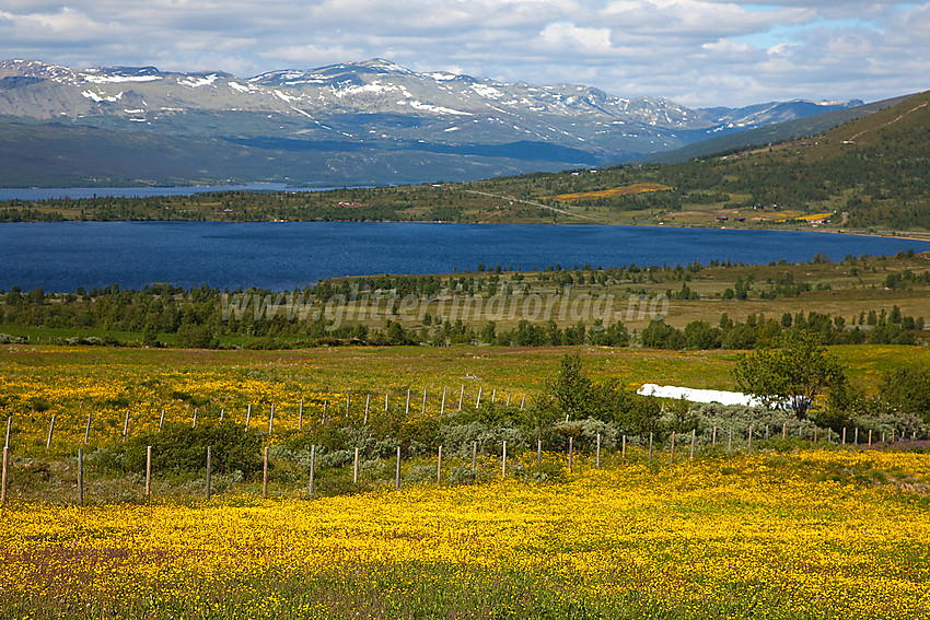 Ikke langt fra Råstølen i Vestre Slidre under en sykkeltur, her mot Reinsennvatnet og Veslebotnskarvet.