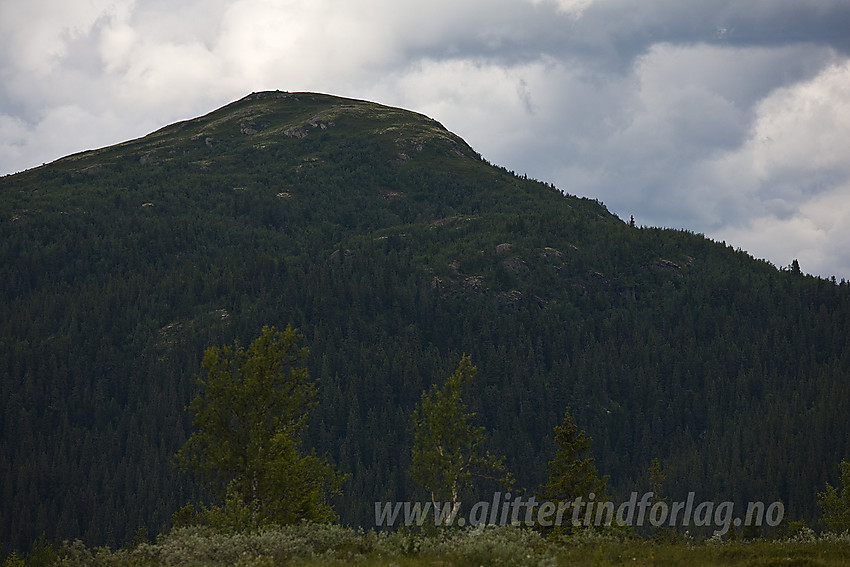 Ormtjernkampen (1128 moh) fra sør.