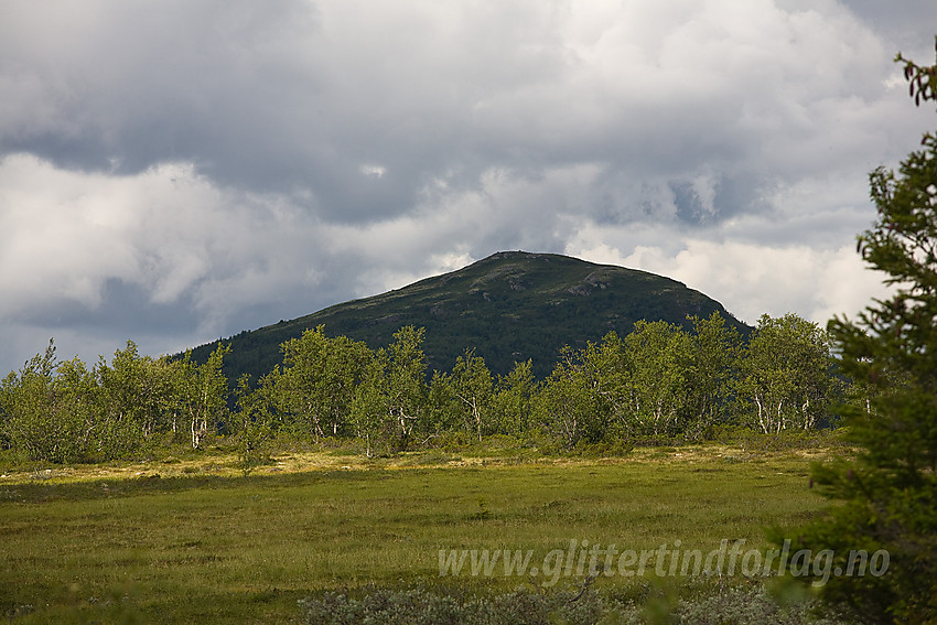 Ormtjernkampen (1128 moh) fra sør.