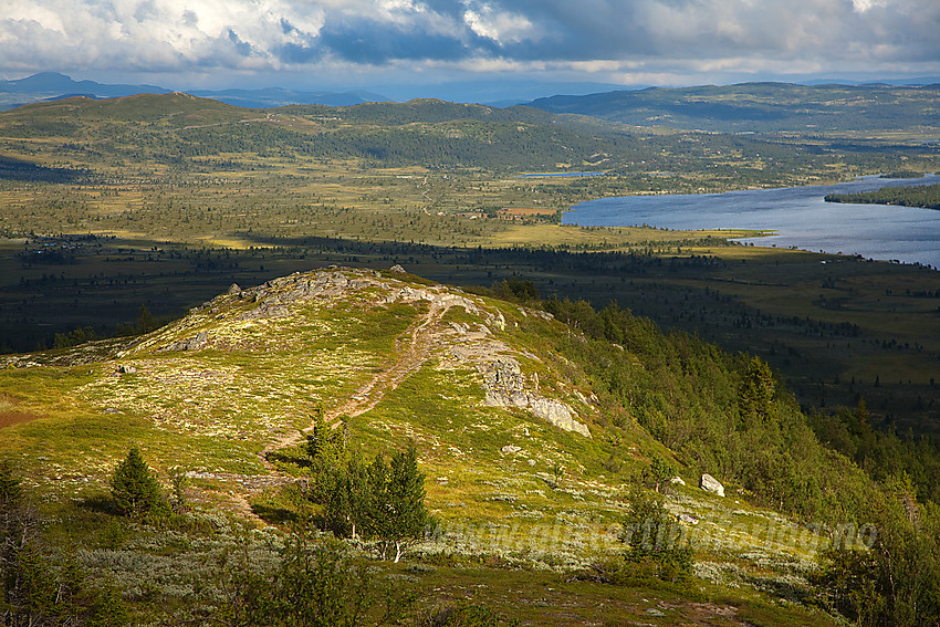 På vei mot Gravfjellet fra Yddin. IU bakgrunnen bl.a. Synhaugen og Yddin.