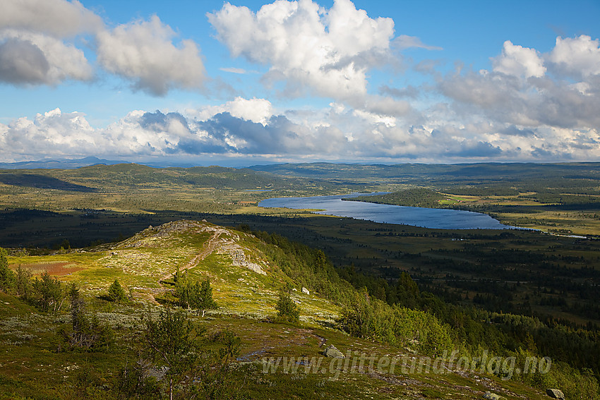 På vei mot Gravfjellet fra Yddin. IU bakgrunnen bl.a. Synhaugen og Yddin.