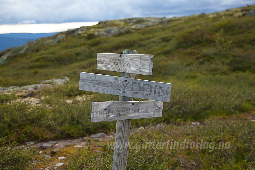 Stidele på vei fra Yddin mot Gravfjellet.