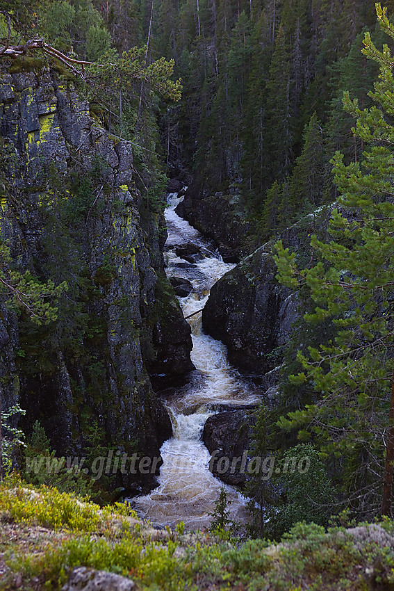 Mot Kverviljuvet (Hølerajuvet) i Sør-Aurdal.