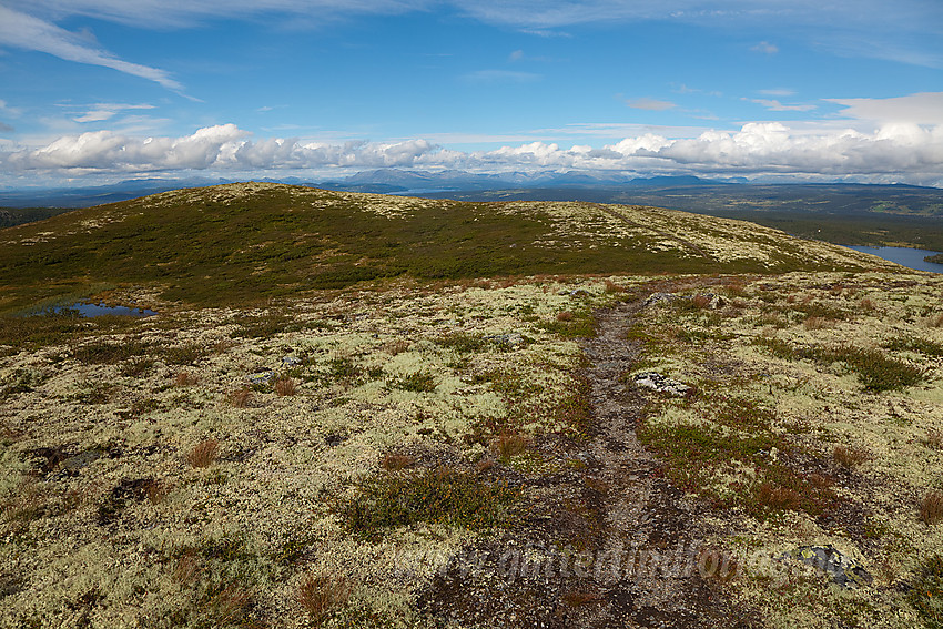 På toppen av Haugsetfjellet (1152 moh) i Nord-Aurdal med utsikt i retning Golsfjellet.