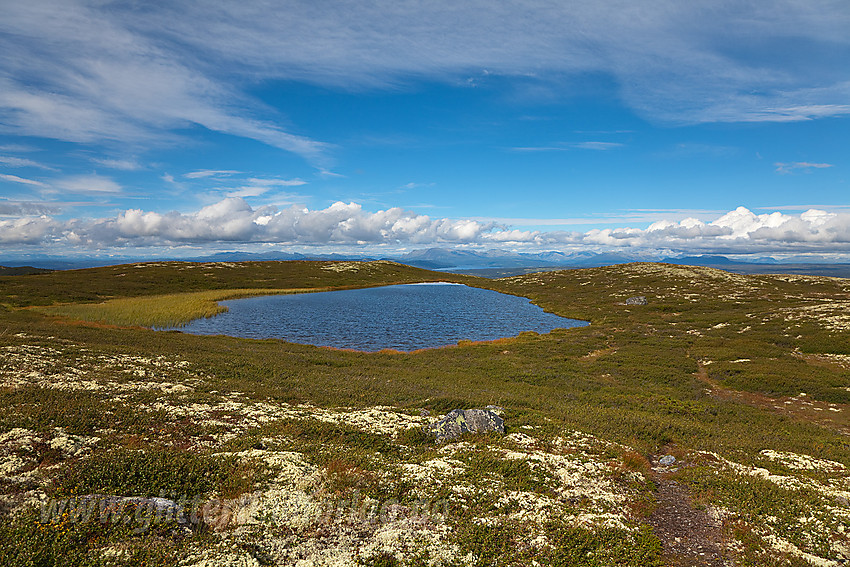 Lite tjern nordvest på Haugsetfjellet (1152 moh) i Nord-Aurdal.