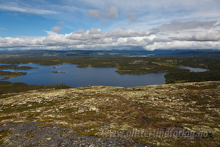 Fra Haugsetfjellet mot Hærvevatnet.