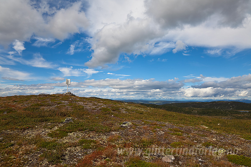 Sangeknatten (1104 moh) ved Nordre Fjellstølen i Sør-Aurdal.