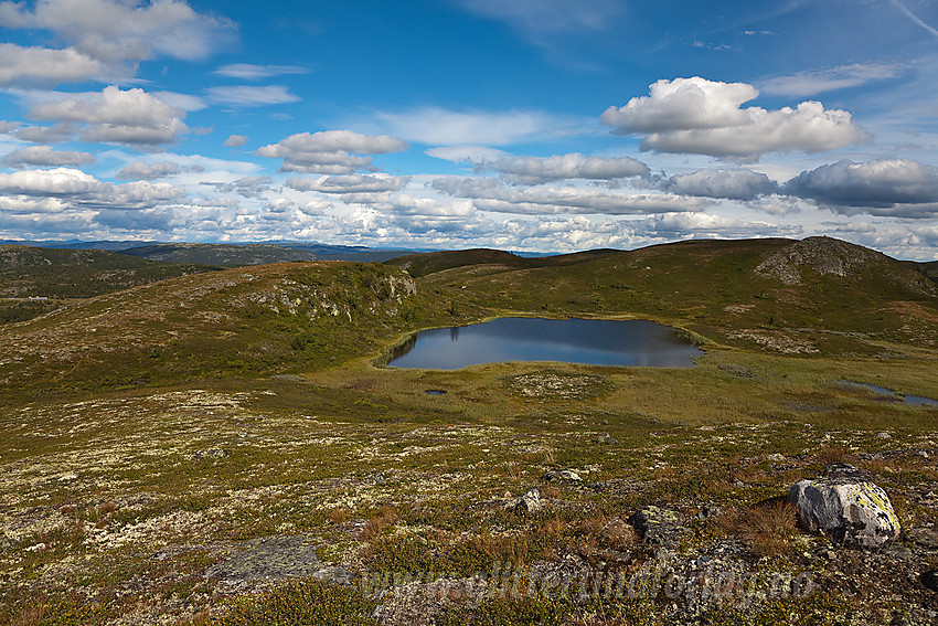 På vei fra Hollastølsfjellet mot Sangeknatten i Sør-Aurdal.