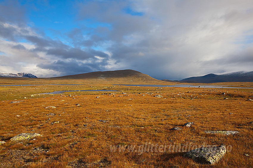 På Valdresflye en høstmorgen mot Fisketjerni og Fisketjernnuten (1527 moh).