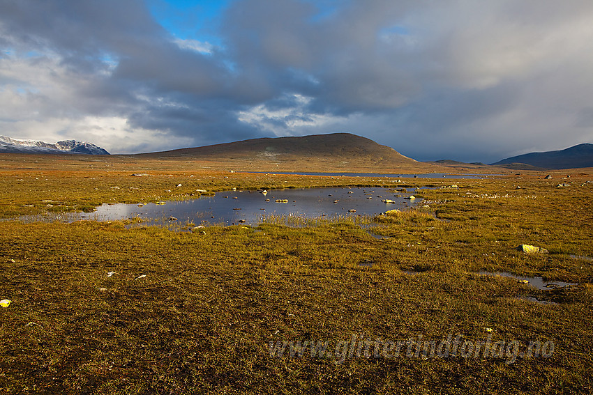 På Valdresflye en høstmorgen mot Fisketjerni og Fisketjernnuten (1527 moh).