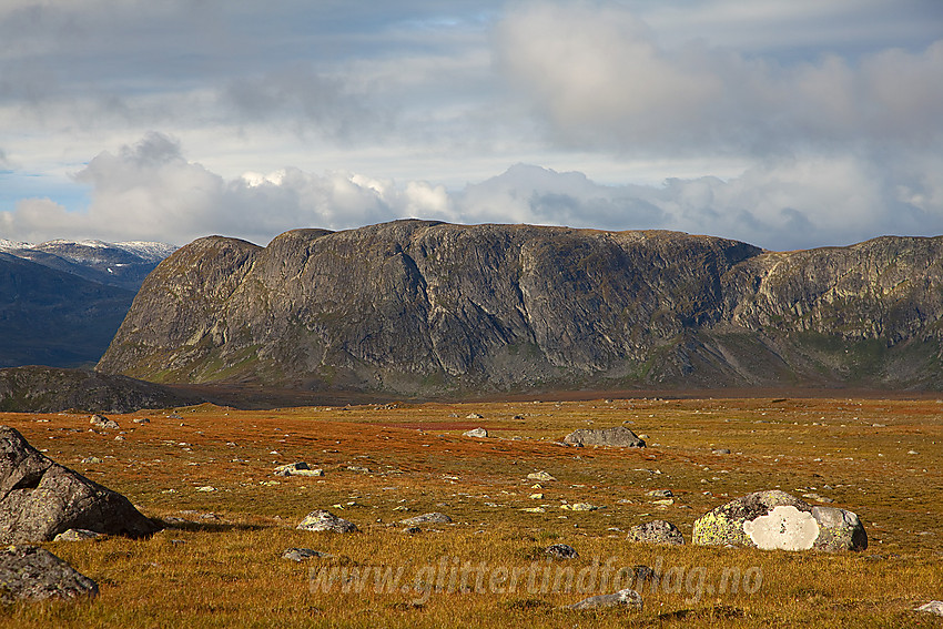 Fra Valdresflye mot Synshorn (1475 moh).