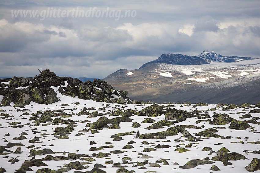 På toppen av Gråhøe (1779 moh). I bakgrunnen bl.a. Nørdre Kalvehølotinden og Torfinnstindane.