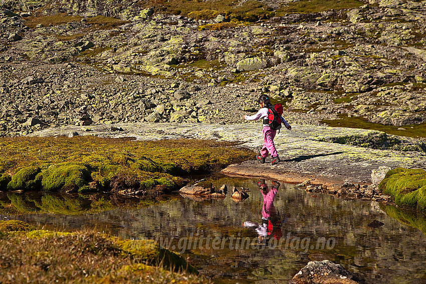 Besluttsom gange! På tur fra Rysndalen mot Tomshelleren forbi en liten vannpytt nord for Høgegge.