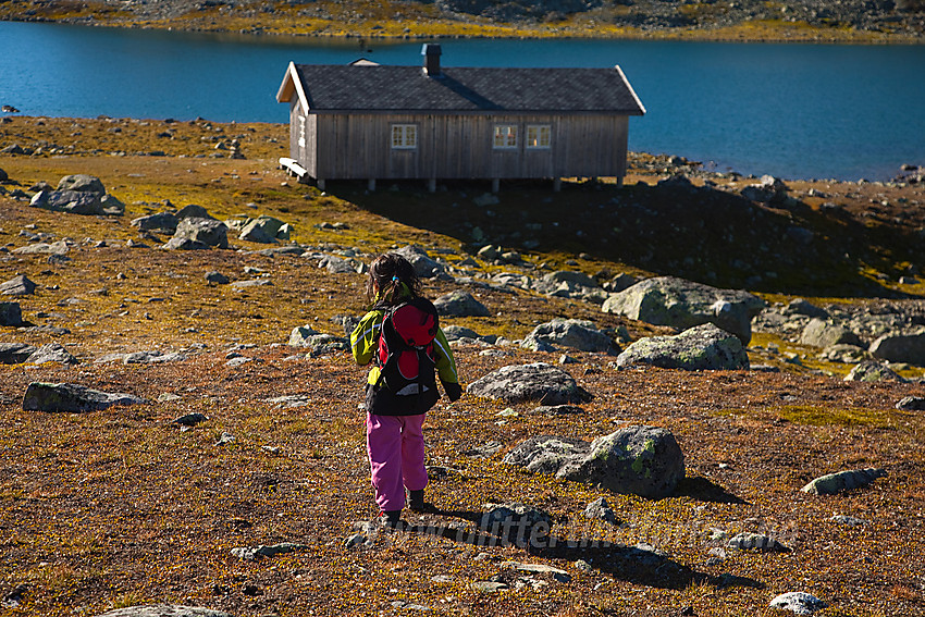 Snart fremme! Siste biten ned til Tomashelleren på vår tur fra Rysndalen.