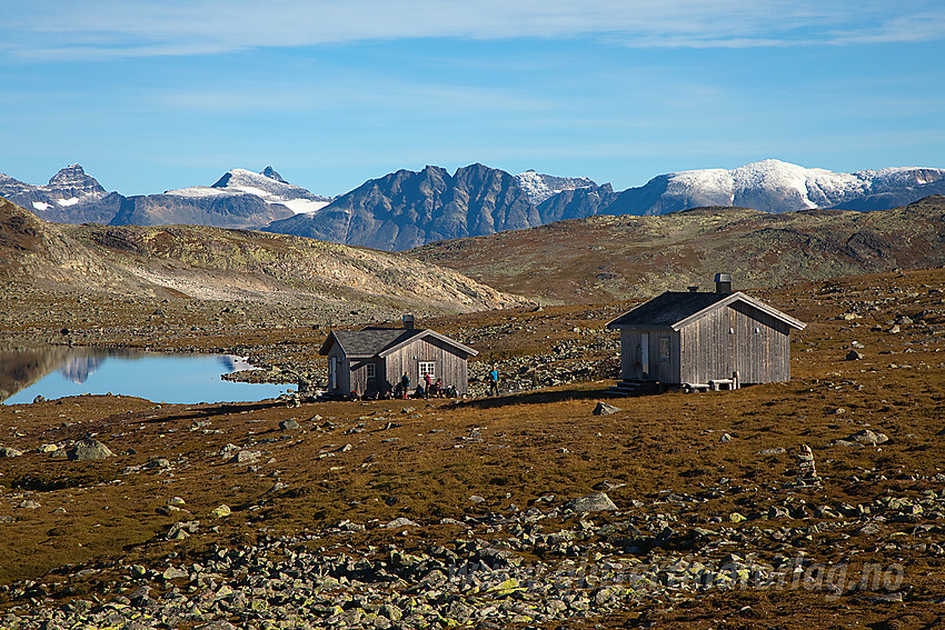 Vi forlater idylliske Tomashelleren med Gjendealpene i Jotunheimen som bakteppe.