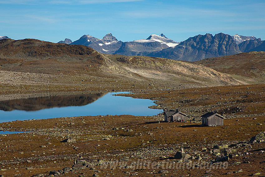 Vi forlater idylliske Tomashelleren med Gjendealpene i Jotunheimen som bakteppe.