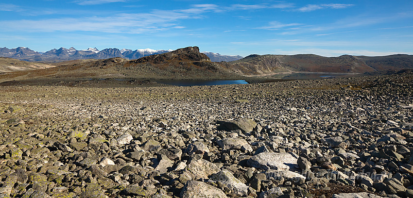 På vei mot Høgegge med utsikt til fjellet Tomashelleren (1626 moh) og Jotunheimen.