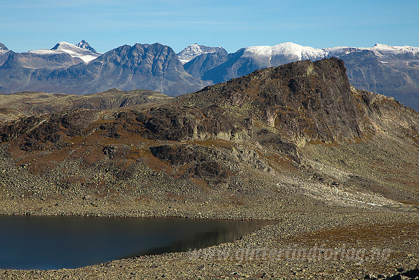 På vei mot Høgegge med utsikt til fjellet Tomashelleren (1626 moh) og Jotunheimen.