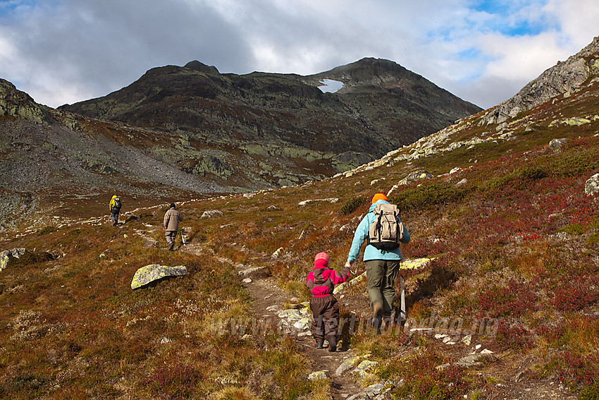 På vei mot Mugnetinden (1737 moh) som ses i bakgrunnen.