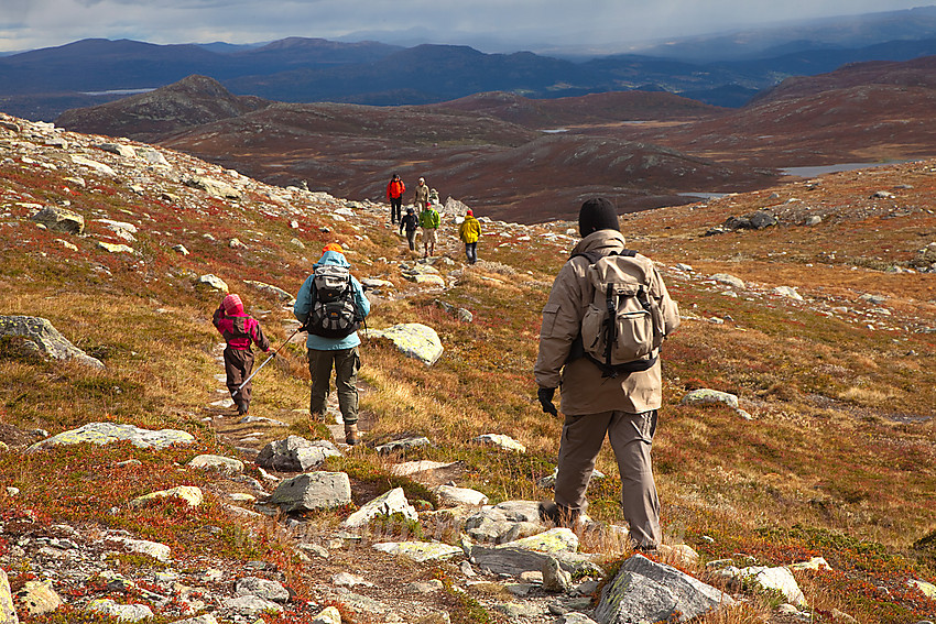 Fjellvandrere på vei til og fra Mugnetinden langs den tydelige normalstien fra Mugnestølen.