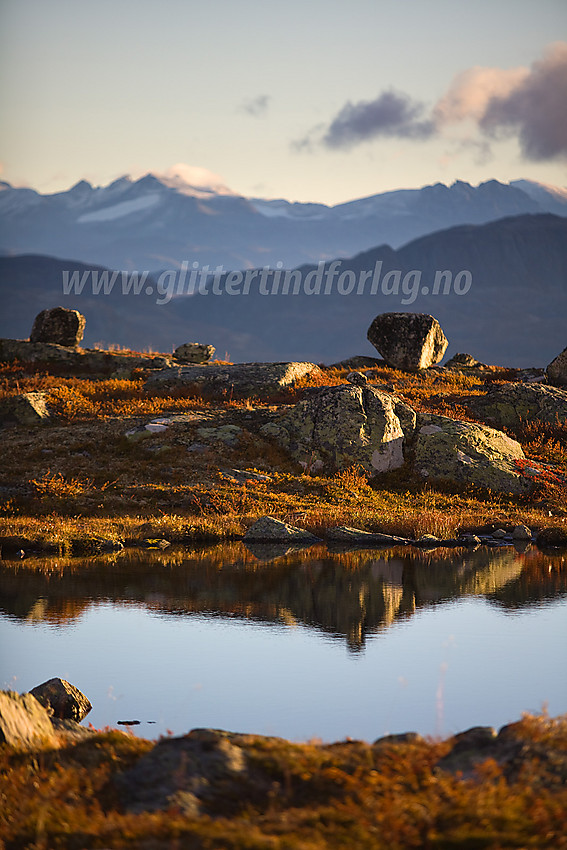 På høgda sør for Otrøvatnet på tur til Sulebu. I bakgrunnen ses Jotunheimen.