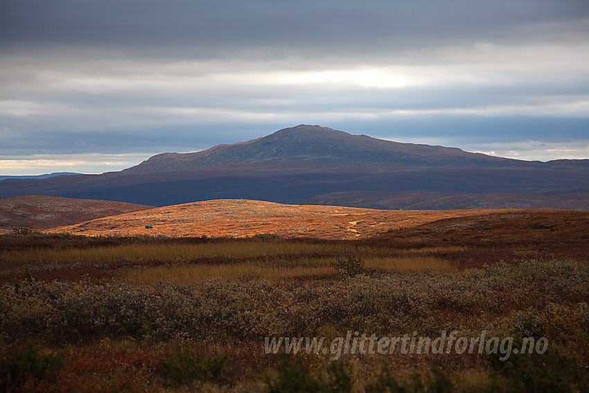 Fra Syndisfjellet mot Grønsennknipa (1368 moh).