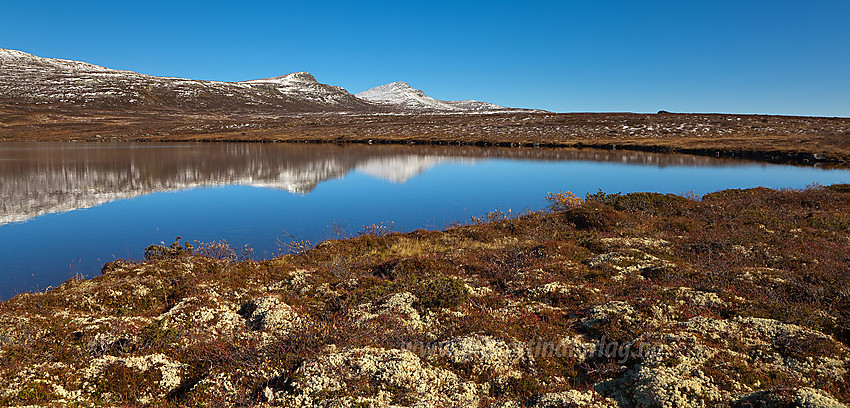 Ved Skreddalstjernet mot Svarthamaren (1471 moh) og Skaget (1685 moh).