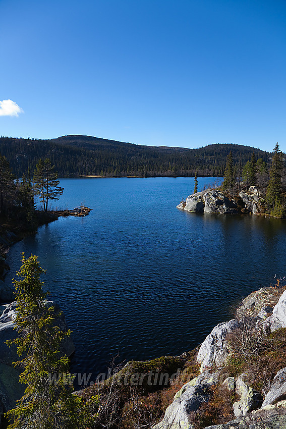 Ved Kvitingen på grensa mellom Sør- og Nord-Aurdal.