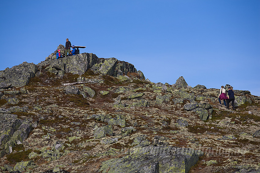 Toppen på Tyinstølnøse (1386 moh).